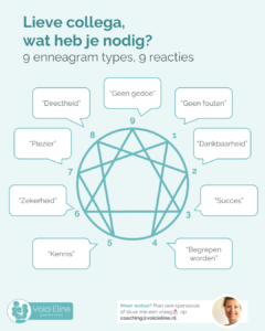 Afbeelding met enneagram cirkel en bij elk cijfer een kort antwoord op de vraag “Wat heb je nodig?”. Bijvoorbeeld bij 1: Geen fouten.