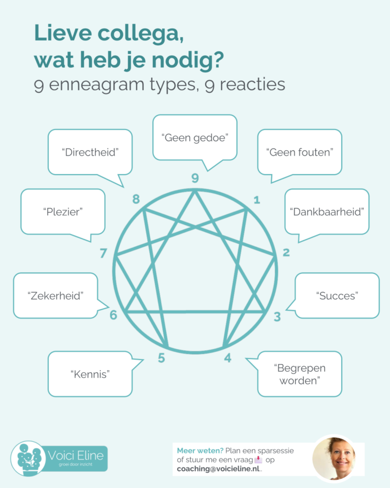 Afbeelding met enneagram cirkel en bij elk cijfer een kort antwoord op de vraag “Wat heb je nodig?”. Bijvoorbeeld bij 1: Geen fouten.